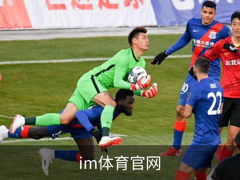im体育官网介绍